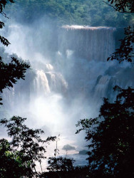 5 a glimpse of the falls through the trees. 800