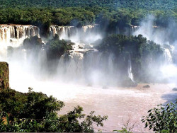 41 guazu falls  brazil 800