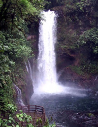 waterfall park s splendor  mf  800