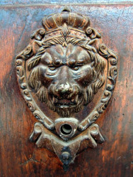 158 broken brass lion head in granada  nicaragua 800