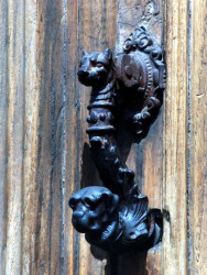 23 two guard dogs on watch in concepcion  chile 800