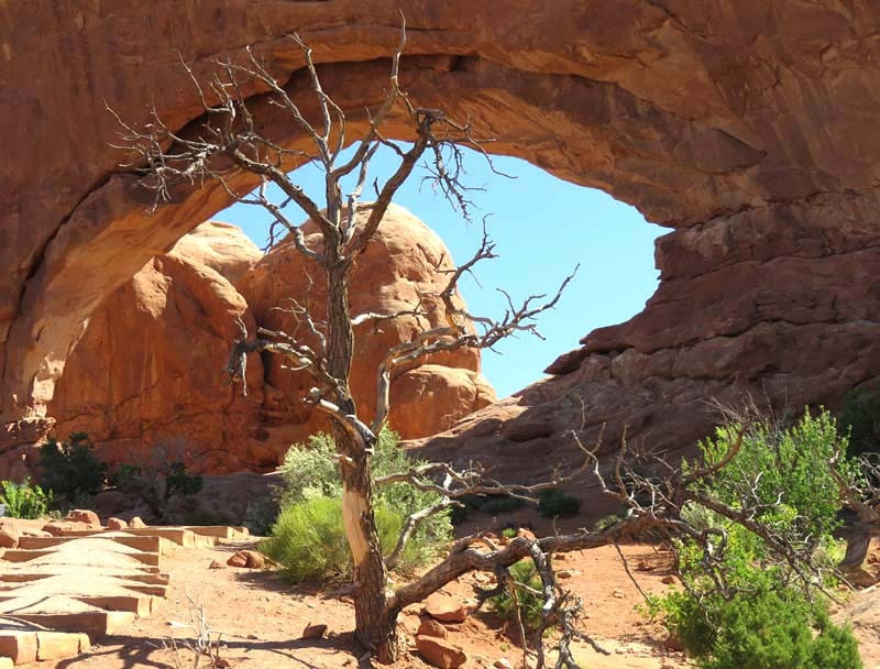 36. arches national park 800