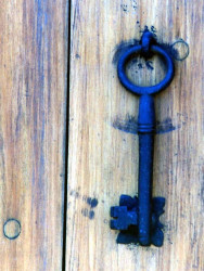 55 a key knocker photographed in paraguay 800