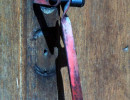 60 iron knocker photographed in mexico 800