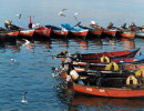 12 fleet of small fishing boats in iquique  chile 800