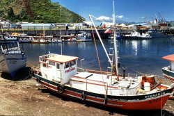 22 boats anchored at low tide in puerto montt  chile 800