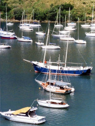 45 secluded cove for anchoring in southern australia 800