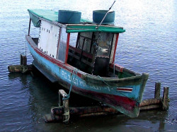 129 milady 1 in costa rica 800