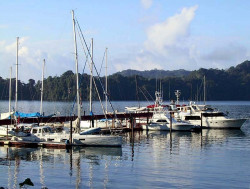 131 osa peninsula in costa rica 800