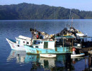 132 fishing vessels in golfito  costa rica