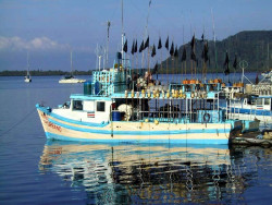 133 fishing boats in golfito 800