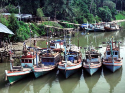 28 fishing boats lined up in the philippines 800