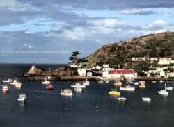 67 small harbour in northern brazil 800