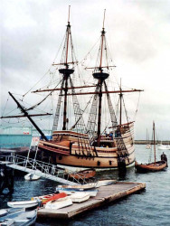 72 tall ship in wellington  new zealand 800