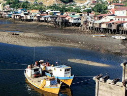 76 boats anchored in an inland waterway in puerto montt  chile 800