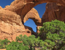 arches np 22 800