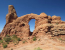 arches np 29 800