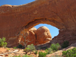 arches np 35 800