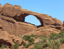 arches np 44 800