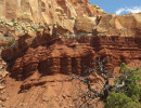 capitol reef np 29 800