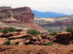 capitol reef np 4 800
