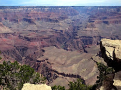 grand canyon 8 800