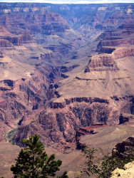 grand canyon 9 800