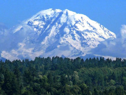 mt. ranier 12 800
