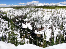 yellowstone national park   wyoming 1 800