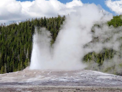 yellowstone national park   wyoming 11 800
