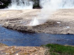 yellowstone national park   wyoming 14 800