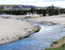 yellowstone national park   wyoming 15 800