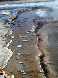 yellowstone national park   wyoming 17 800