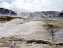 yellowstone national park   wyoming 18 800