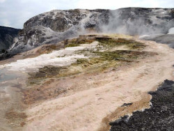 yellowstone national park   wyoming 20 800