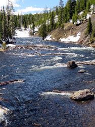 yellowstone national park   wyoming 4 800