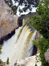 yellowstone national park   wyoming 30 800