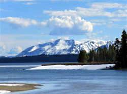 yellowstone national park   wyoming 39 800