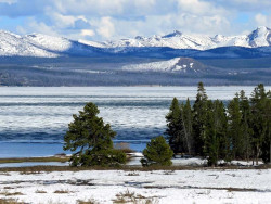 yellowstone national park   wyoming 41 800