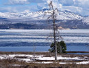 yellowstone national park   wyoming 43 800