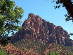 zion national park 11 800