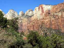 zion national park 12 800