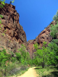 zion national park 15 800