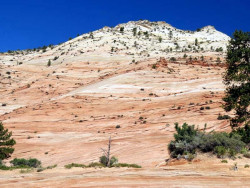 zion national park 9 800