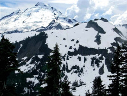 mt. baker  wash. 14 800