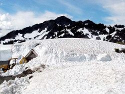 mt. baker  wash. 20 800