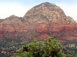 sedona red rock 1 800