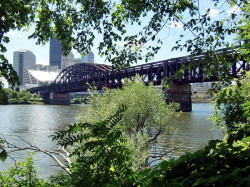 88 panhandle bridege 800