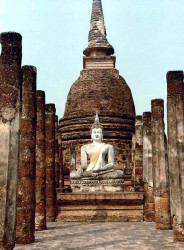 14 buddhastatue at the ruins in pitsanulok 800