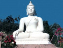 2 buddha statue in the southern town of songkla 800